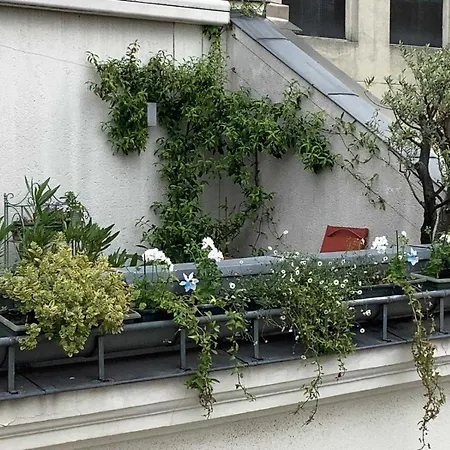 Magnificent Bohemian Chic With Terrace Apartment Paris